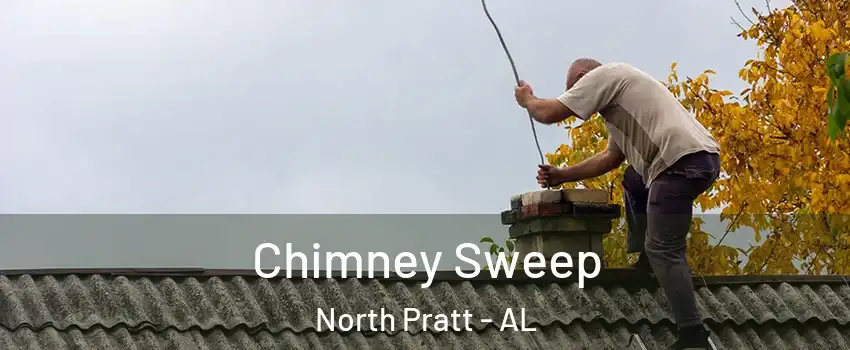 Chimney Sweep North Pratt - AL