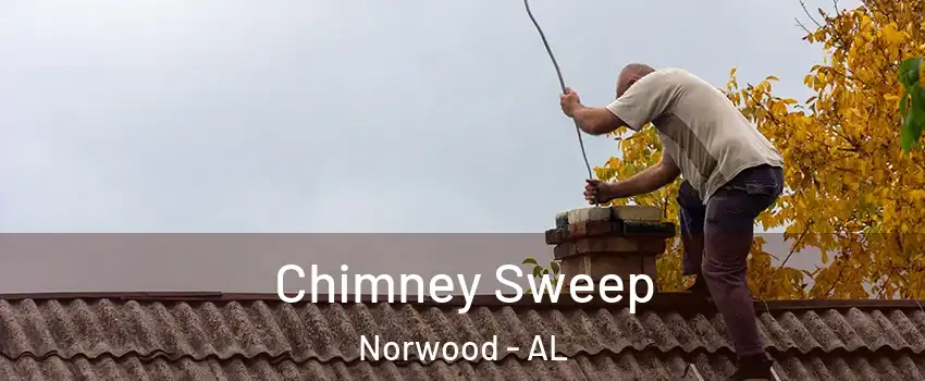 Chimney Sweep Norwood - AL