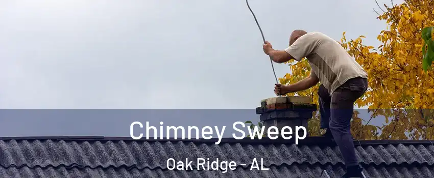 Chimney Sweep Oak Ridge - AL