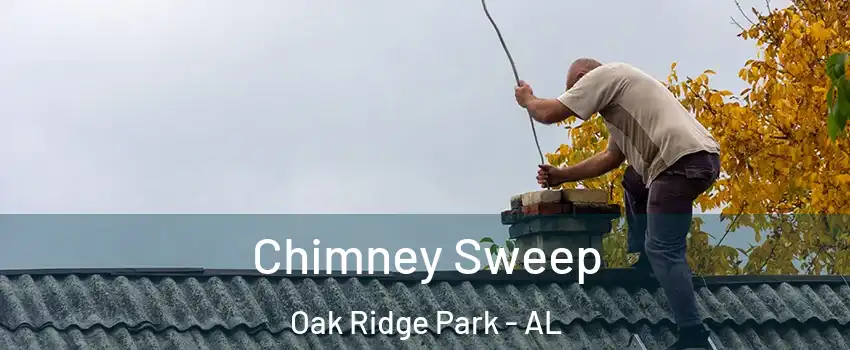 Chimney Sweep Oak Ridge Park - AL