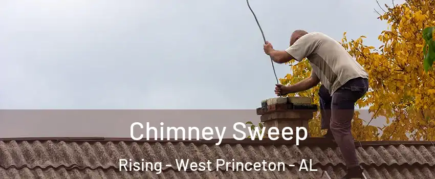 Chimney Sweep Rising - West Princeton - AL