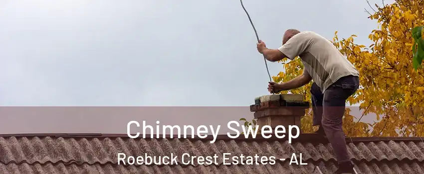 Chimney Sweep Roebuck Crest Estates - AL