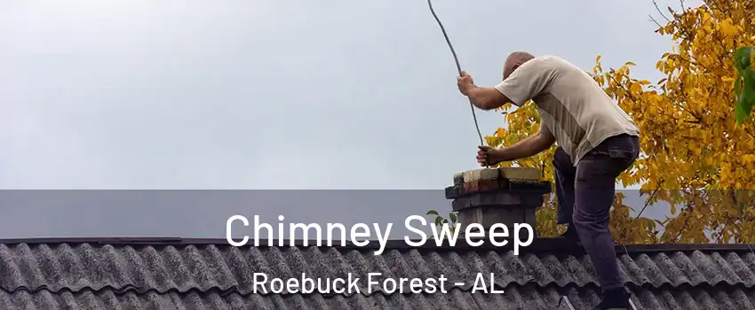 Chimney Sweep Roebuck Forest - AL