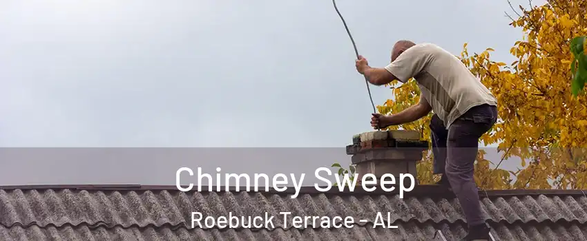 Chimney Sweep Roebuck Terrace - AL
