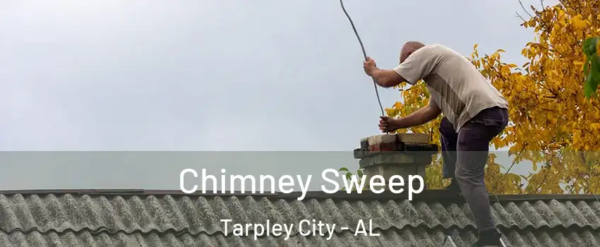 Chimney Sweep Tarpley City - AL