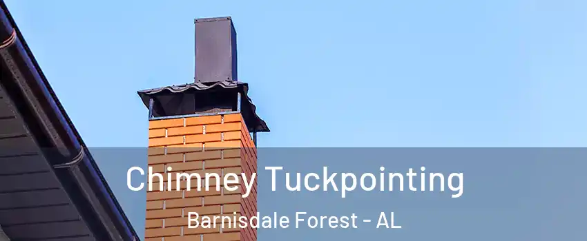 Chimney Tuckpointing Barnisdale Forest - AL