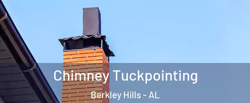 Chimney Tuckpointing Berkley Hills - AL