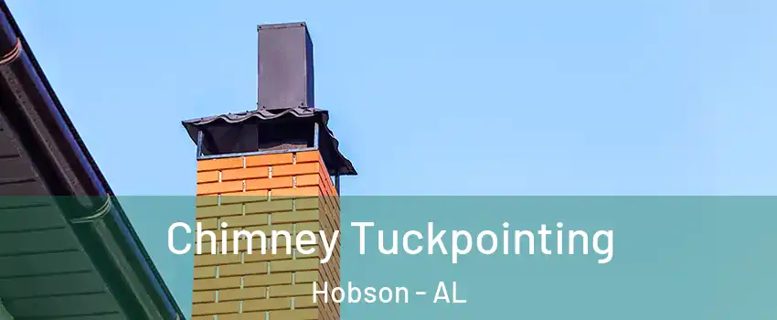Chimney Tuckpointing Hobson - AL