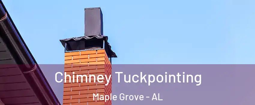 Chimney Tuckpointing Maple Grove - AL