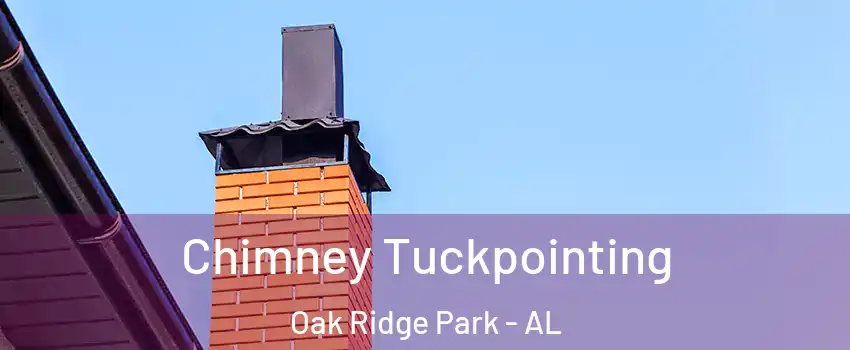 Chimney Tuckpointing Oak Ridge Park - AL