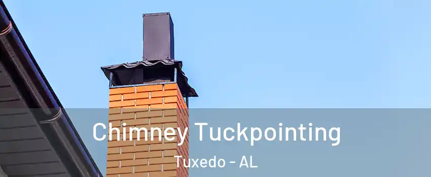 Chimney Tuckpointing Tuxedo - AL