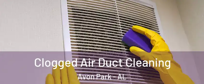 Clogged Air Duct Cleaning Avon Park - AL