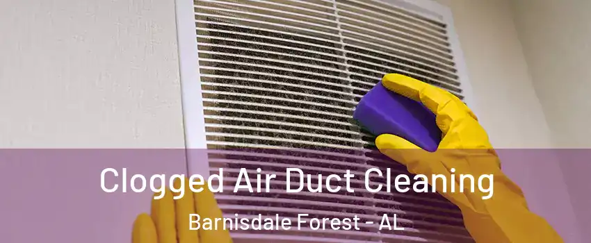 Clogged Air Duct Cleaning Barnisdale Forest - AL