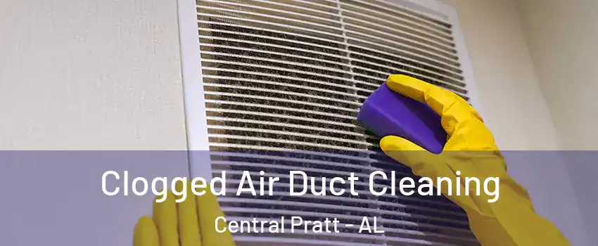 Clogged Air Duct Cleaning Central Pratt - AL