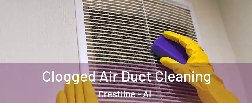 Clogged Air Duct Cleaning Crestline - AL