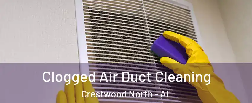 Clogged Air Duct Cleaning Crestwood North - AL