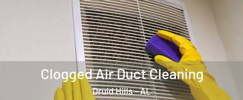 Clogged Air Duct Cleaning Druid Hills - AL
