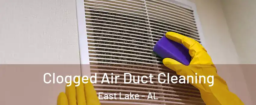 Clogged Air Duct Cleaning East Lake - AL