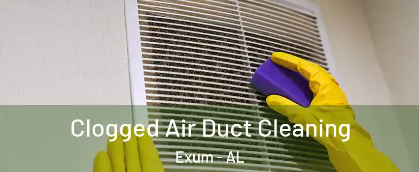 Clogged Air Duct Cleaning Exum - AL