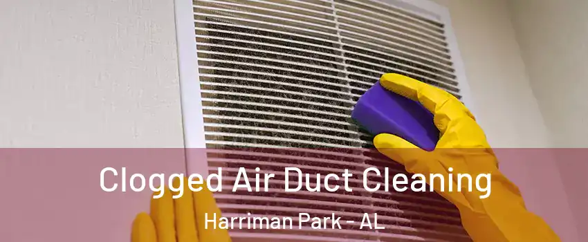 Clogged Air Duct Cleaning Harriman Park - AL