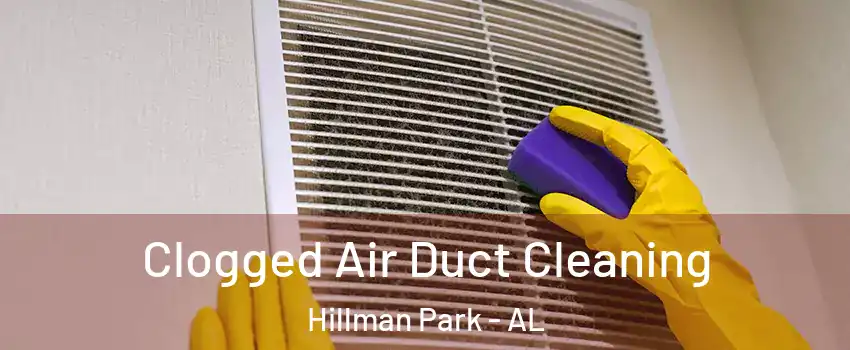 Clogged Air Duct Cleaning Hillman Park - AL