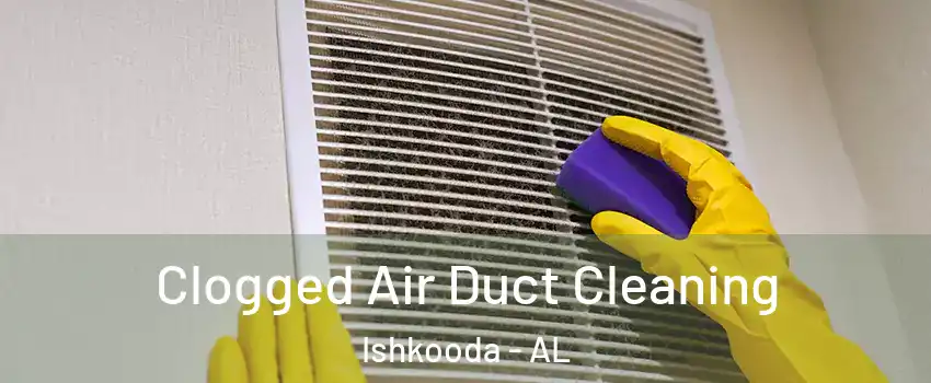 Clogged Air Duct Cleaning Ishkooda - AL