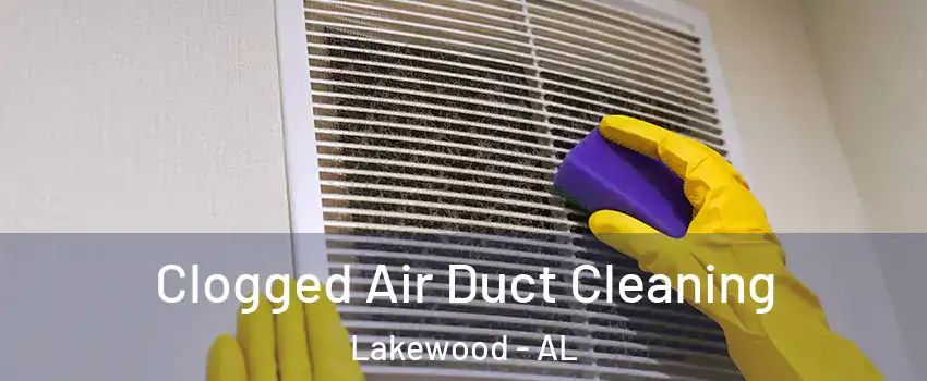 Clogged Air Duct Cleaning Lakewood - AL