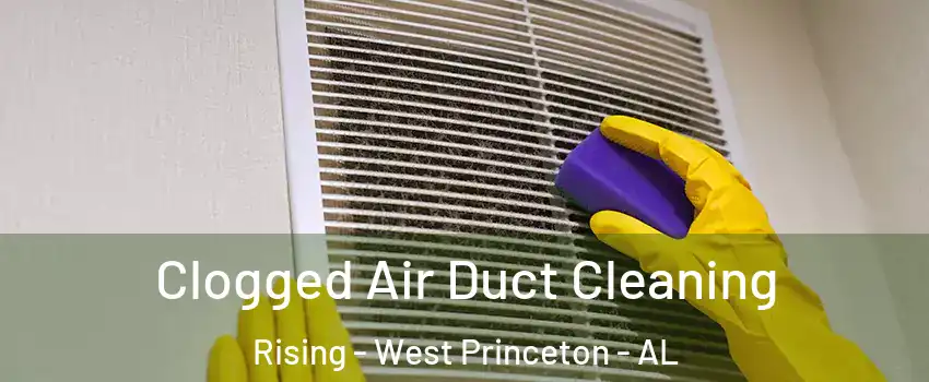 Clogged Air Duct Cleaning Rising - West Princeton - AL