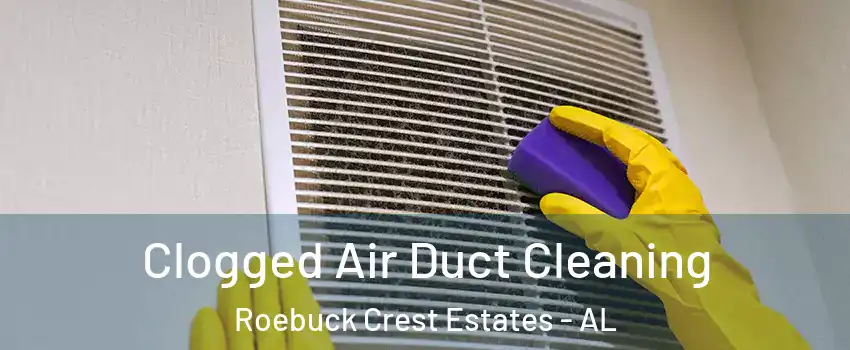Clogged Air Duct Cleaning Roebuck Crest Estates - AL