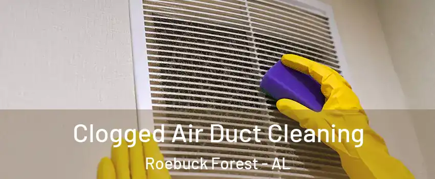 Clogged Air Duct Cleaning Roebuck Forest - AL
