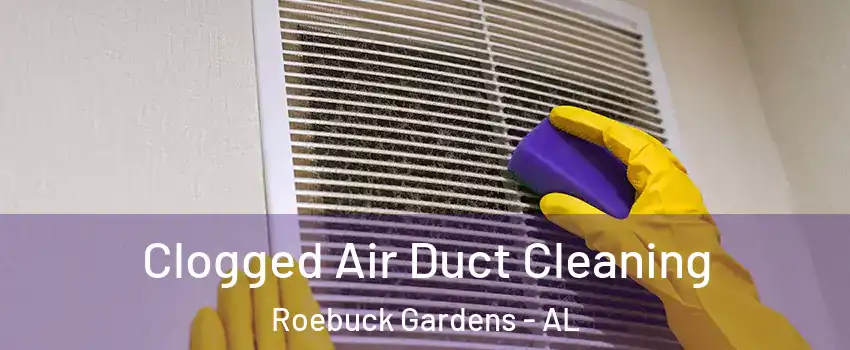 Clogged Air Duct Cleaning Roebuck Gardens - AL