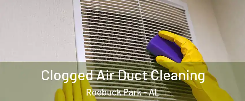 Clogged Air Duct Cleaning Roebuck Park - AL