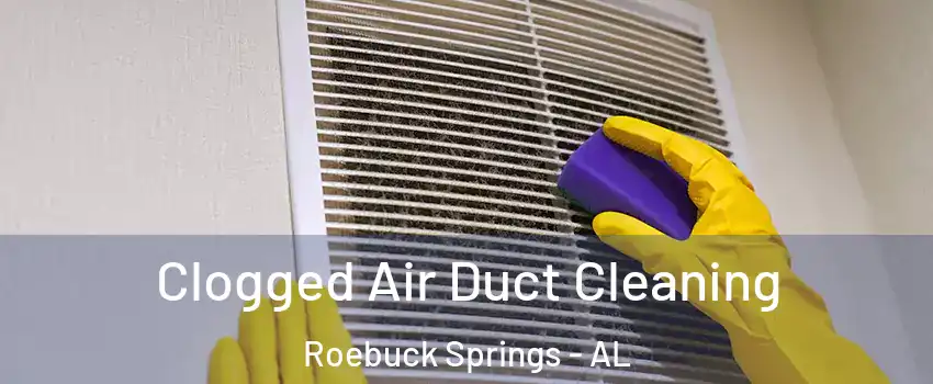 Clogged Air Duct Cleaning Roebuck Springs - AL