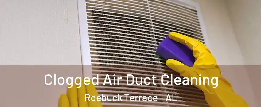 Clogged Air Duct Cleaning Roebuck Terrace - AL
