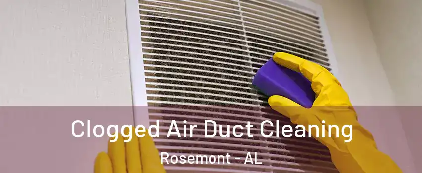Clogged Air Duct Cleaning Rosemont - AL