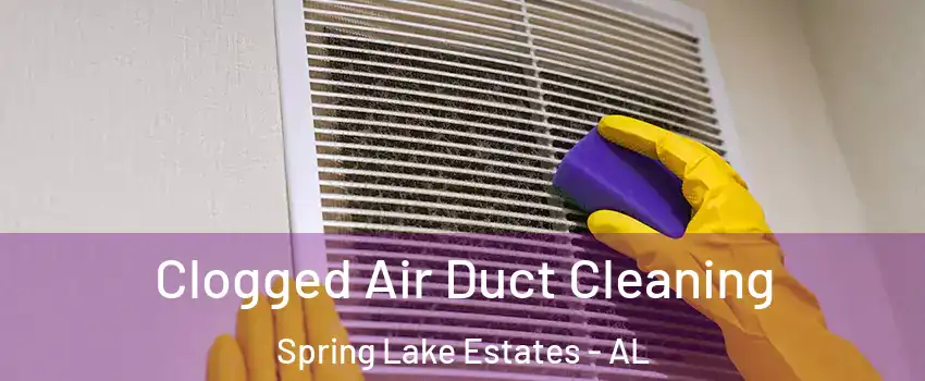 Clogged Air Duct Cleaning Spring Lake Estates - AL