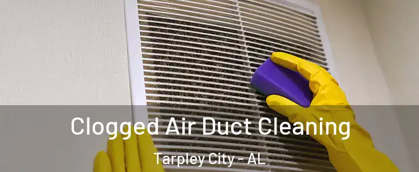 Clogged Air Duct Cleaning Tarpley City - AL