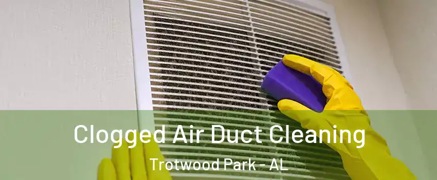 Clogged Air Duct Cleaning Trotwood Park - AL