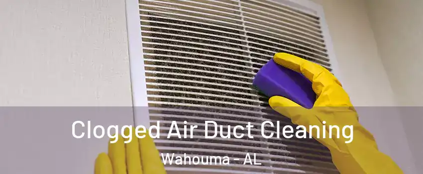 Clogged Air Duct Cleaning Wahouma - AL