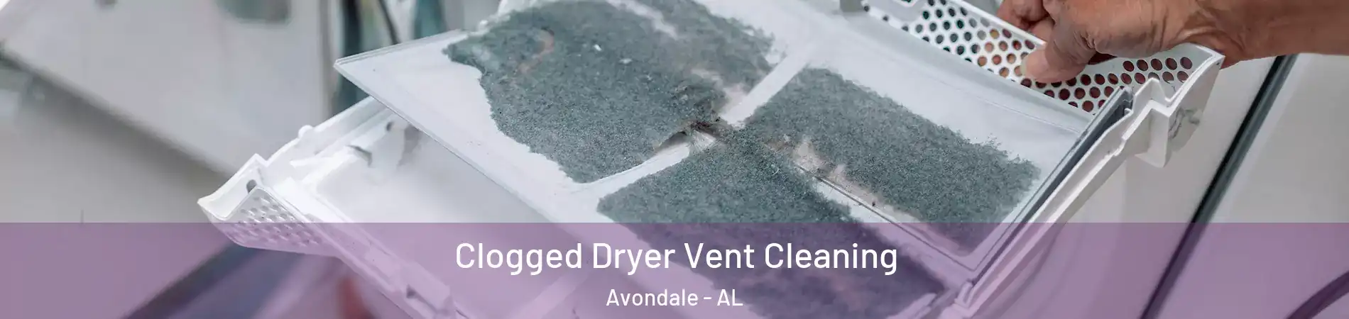 Clogged Dryer Vent Cleaning Avondale - AL