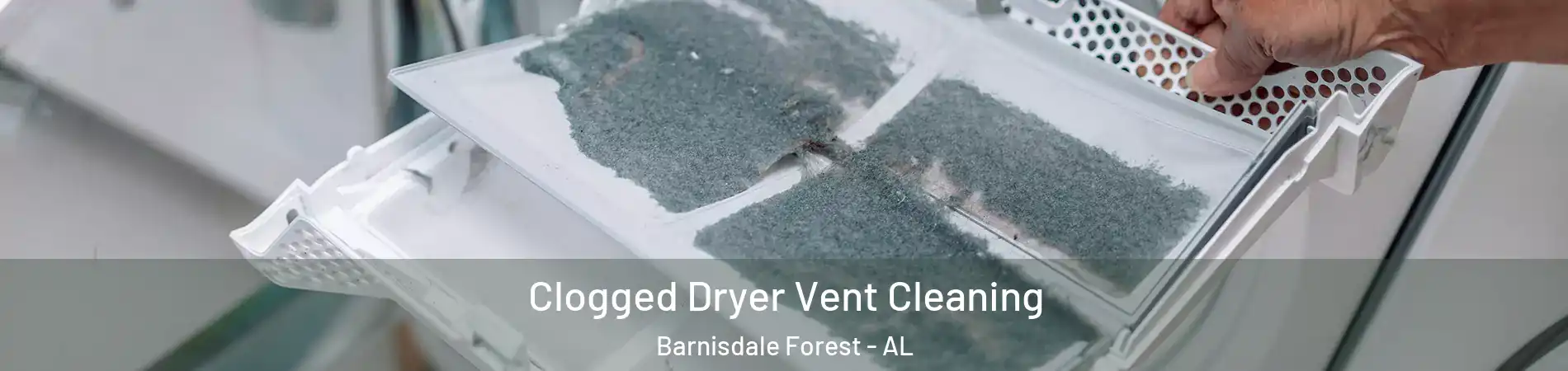 Clogged Dryer Vent Cleaning Barnisdale Forest - AL