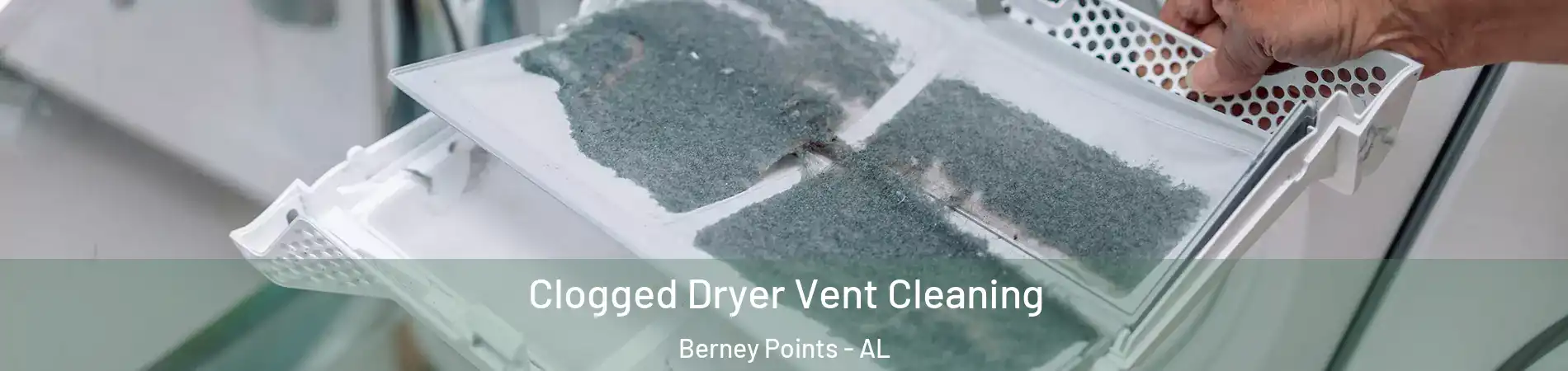 Clogged Dryer Vent Cleaning Berney Points - AL