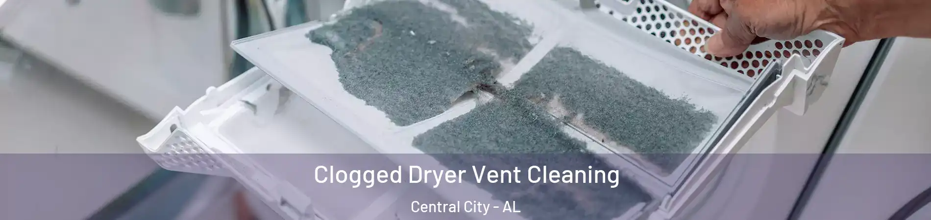 Clogged Dryer Vent Cleaning Central City - AL