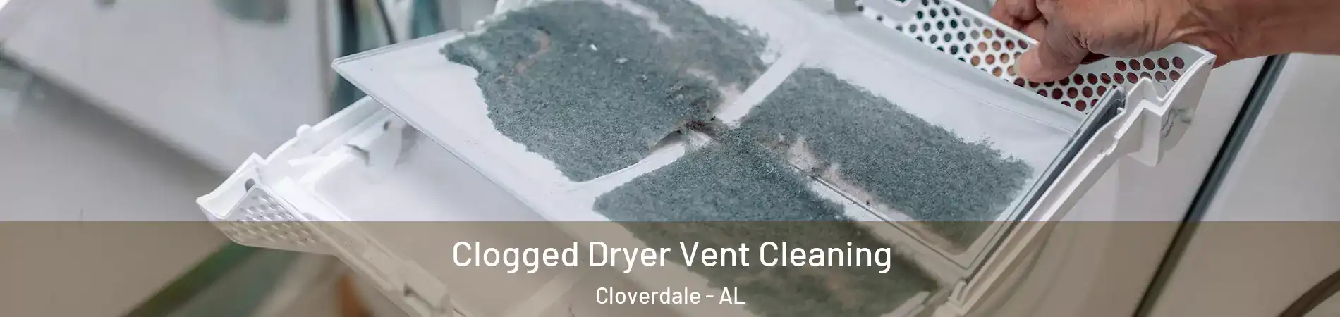 Clogged Dryer Vent Cleaning Cloverdale - AL