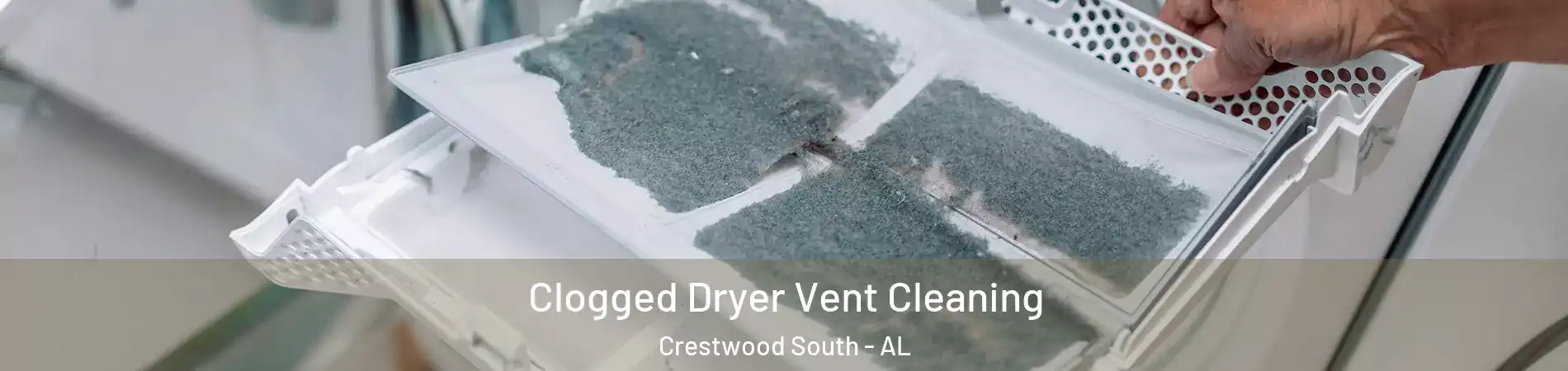 Clogged Dryer Vent Cleaning Crestwood South - AL
