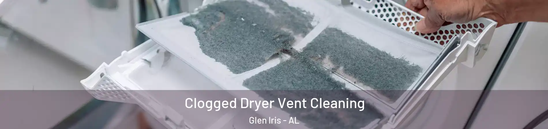 Clogged Dryer Vent Cleaning Glen Iris - AL