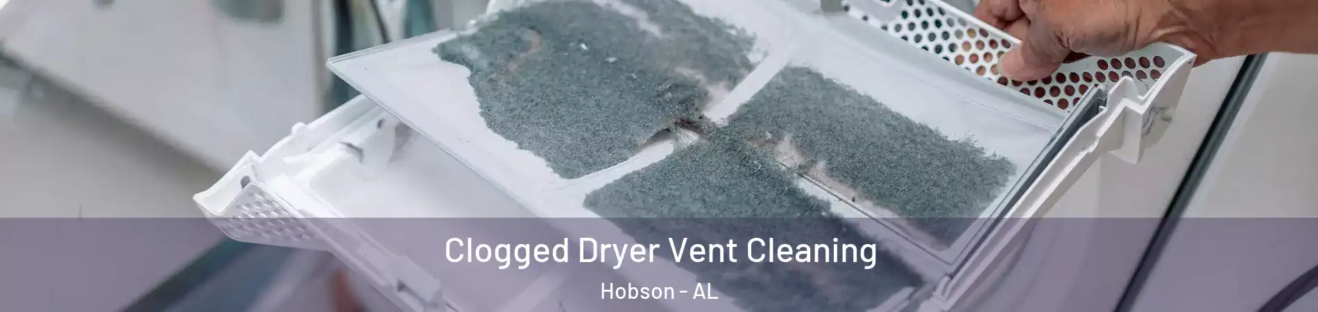 Clogged Dryer Vent Cleaning Hobson - AL