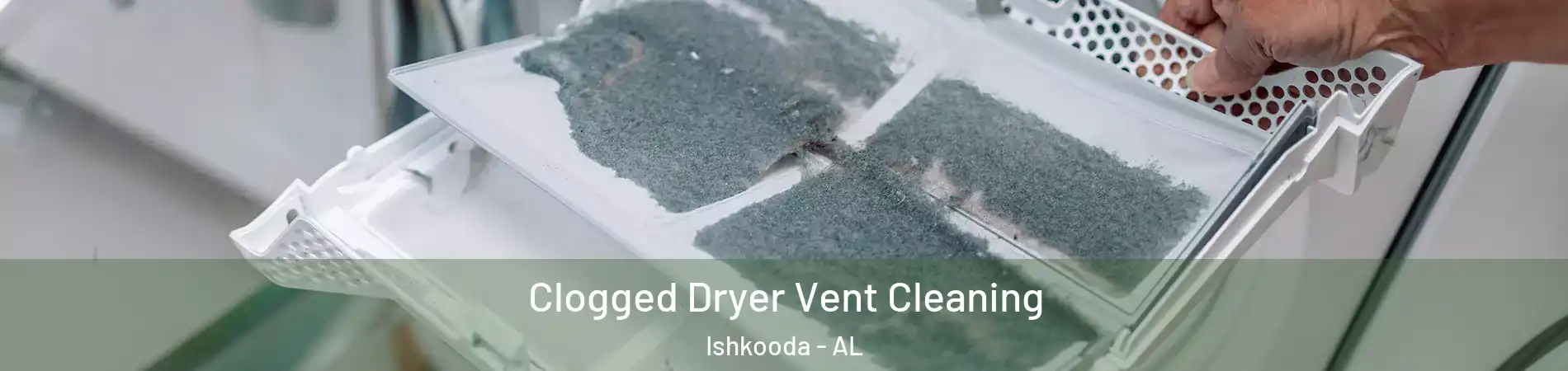 Clogged Dryer Vent Cleaning Ishkooda - AL