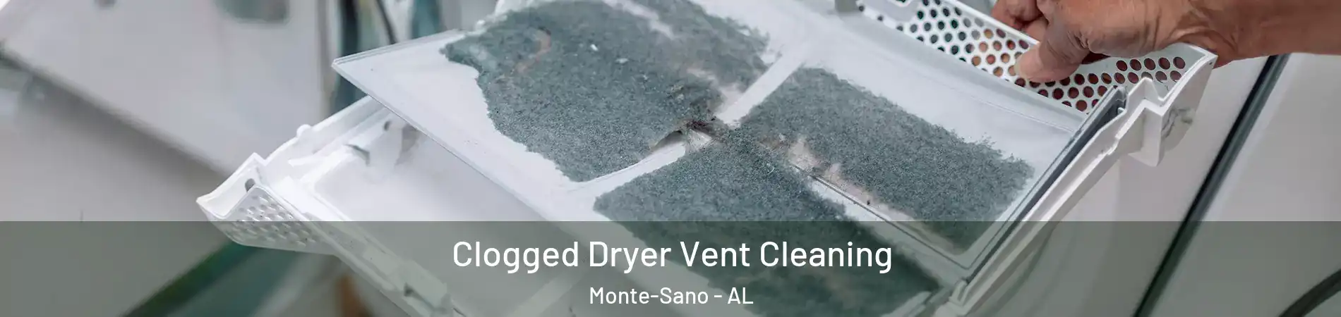 Clogged Dryer Vent Cleaning Monte-Sano - AL