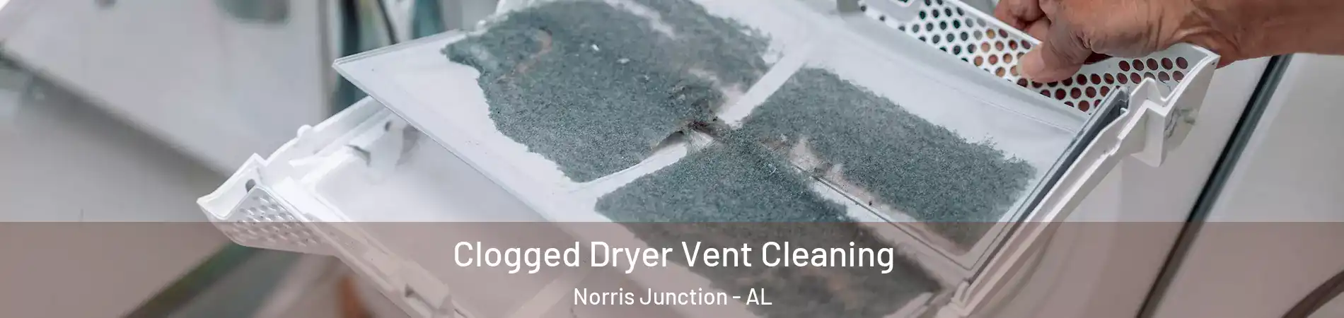 Clogged Dryer Vent Cleaning Norris Junction - AL